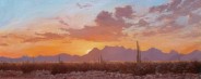 Desert Colors at Sunset