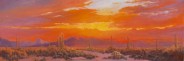 Desert Colors Sunset